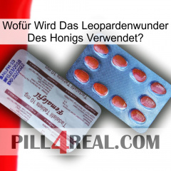 Wofür Wird Das Leopardenwunder Des Honigs Verwendet 36